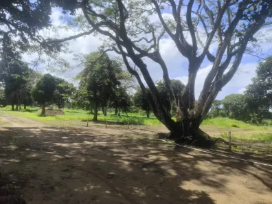 Lote/Terreno à venda, 600m² no Aldeia dos Camarás, Camaragibe