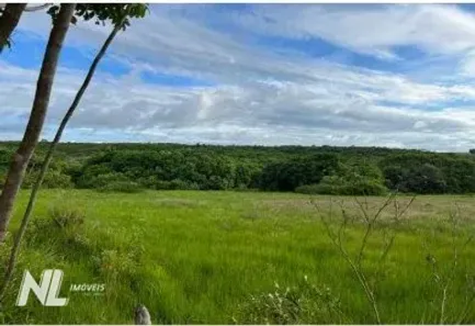 Fazenda/Sítio à venda, 874586m² no , Macaíba