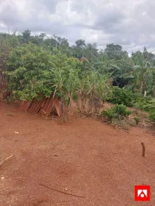 Fazenda/Sítio com 2 Quartos à venda, 70m² no Área Rural de Limeira, Limeira