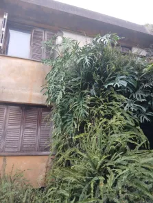 Casa com 4 Quartos à venda, 261m² no Santa Tereza, Porto Alegre