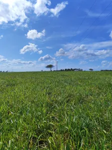 Fazenda/Sítio com 5 Quartos à venda, 2300000m² no , Monte Alegre