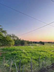 Fazenda/Sítio com 3 Quartos à venda, 230000m² no , São João do Sabugi