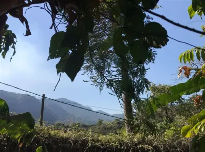 Lote/Terreno à venda, 5117m² no Alto da Boa Vista, Rio de Janeiro