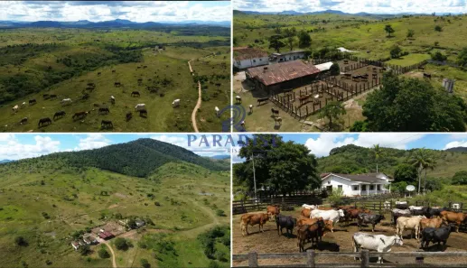 Fazenda/Sítio à venda, 1300m² no , Jussari