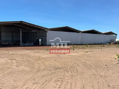 Fazenda/Sítio à venda, 500m² no Centro, Teresina
