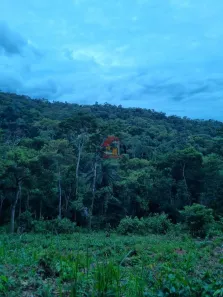 Lote/Terreno à venda, 6000m² no Jardins de Petrópolis, Nova Lima