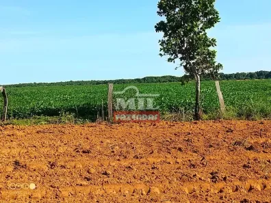 Fazenda/Sítio à venda, 500m² no , Santa Rita do Tocantins