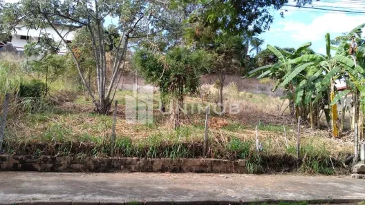 Lote/Terreno à venda, 336m² no Jardim das Paineiras, Campinas