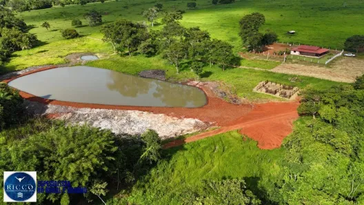 Fazenda/Sítio com 3 Quartos à venda, 3m² no Setor Central, Araçu