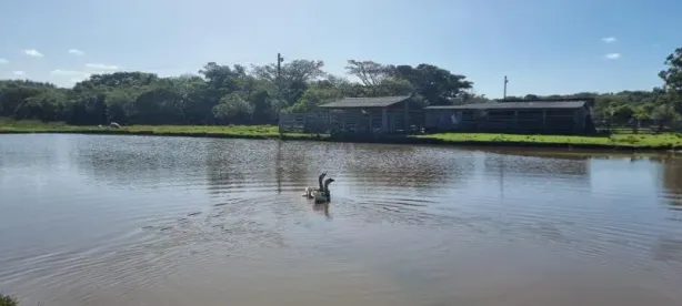 Fazenda/Sítio com 2 Quartos à venda, 120000m² no Área Rural de Águas Claras, Viamão
