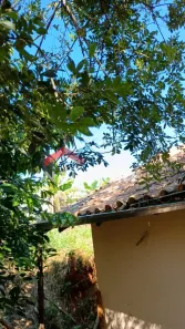 Fazenda/Sítio com 4 Quartos à venda, 240m² no , Itatiaiuçu