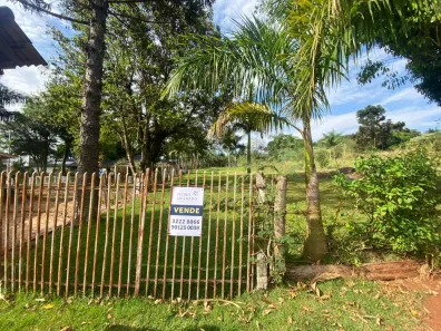 Fazenda/Sítio à venda, 4000m² no Jardim Alvorada, Maringá