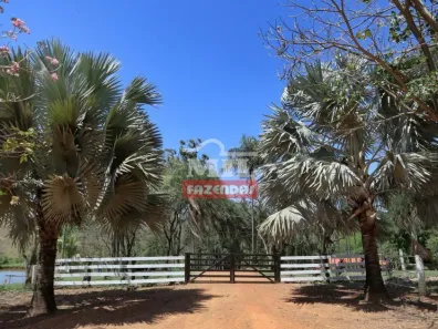 Fazenda/Sítio à venda, 1m² no , São Miguel do Passa Quatro