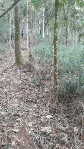 Lote/Terreno à venda, 5016m² no Jardins de Petrópolis, Nova Lima