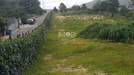 Lote/Terreno à venda, 5947m² no Campeche, Florianópolis