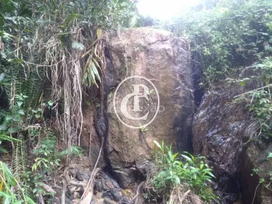 Fazenda/Sítio com 1 Quarto à venda, 90m² no São Luiz do Paraitinga, São Luiz do Paraitinga