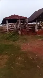 Fazenda/Sítio com 6 Quartos à venda, 822800m² no Área Rural de São José do Rio Preto, São José do Rio Preto