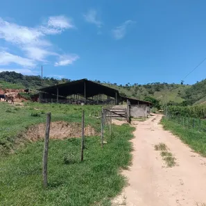 Fazenda/Sítio com 9 Quartos à venda, 540000m² no , Crucilândia