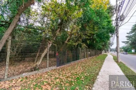 Lote/Terreno para alugar, 7267m² no Pedra Redonda, Porto Alegre