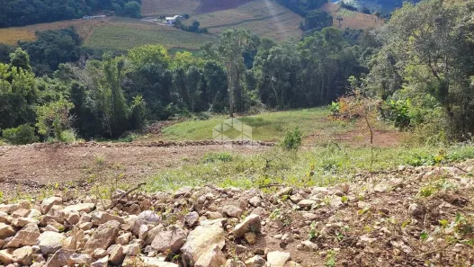 Fazenda/Sítio à venda, 10450m² no Tuiuti, Bento Gonçalves