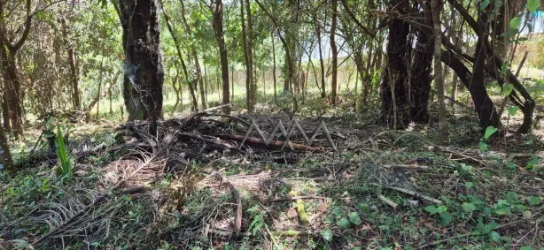 Lote/Terreno à venda, 1000m² no Vila do Ouro, Nova Lima