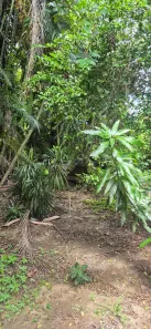 Lote/Terreno à venda, 6000m² no Vargem Grande, Rio de Janeiro