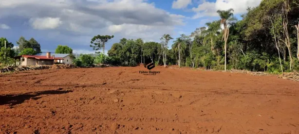 Fazenda/Sítio à venda, 10494m² no Vila Rosa, Dois Irmãos