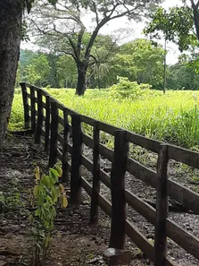 Fazenda/Sítio à venda, 153000m² no Setor Norte, Planaltina