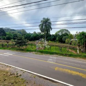 Lote/Terreno à venda, 4050m² no Garibaldina, Garibaldi