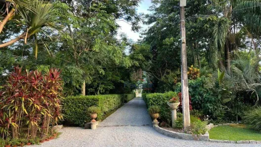 Fazenda/Sítio com 3 Quartos à venda, 9620m² no Guarda do Cubatão, Palhoça