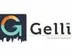 Miniatura da foto de Gelli Consultoria Imobiliária