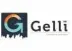 Miniatura da foto de Gelli Consultoria Imobiliária