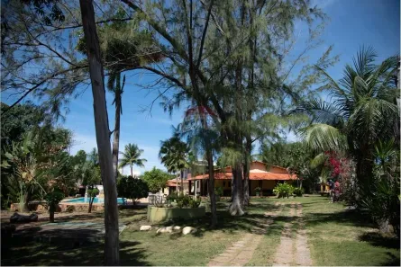 Fazenda/Sítio com 3 Quartos à venda, 281m² no Barra do Jacuípe, Camaçari