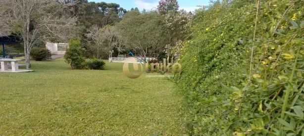 Lote/Terreno à venda, 10000000m² no Academia, São José dos Pinhais