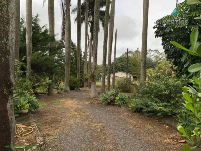 Fazenda/Sítio com 3 Quartos à venda, 500m² no Loteamento San Fernando Valley, São José do Rio Preto