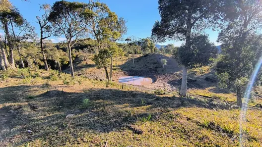 Fazenda/Sítio à venda, 60000m² no , Bom Retiro