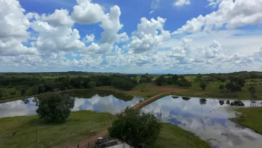 Fazenda/Sítio com 3 Quartos à venda, 600m² no , Bonópolis