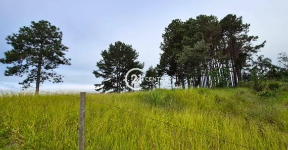 Lote/Terreno à venda, 750m² no Recanto Maravilha III, Santana de Parnaíba