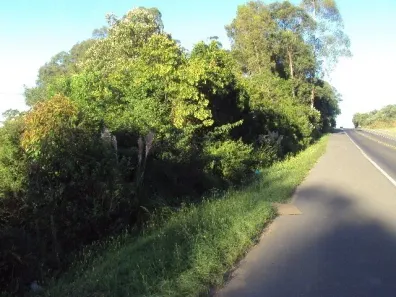 Lote/Terreno à venda, 130000m² no Nossa Senhora de Lourdes, Caxias do Sul