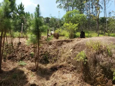 Lote/Terreno à venda, 15619m² no Parque Dom Henrique, Cotia