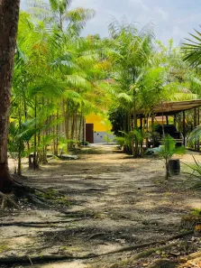 Fazenda/Sítio com 3 Quartos à venda, 20000m² no Murucupi, Barcarena