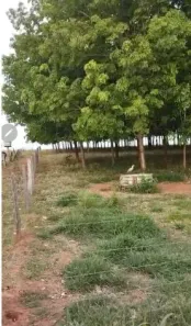 Fazenda/Sítio à venda, 193600m² no Centro, Neves Paulista