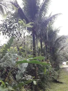Lote/Terreno à venda, 1107m² no Verde Mar, Caraguatatuba