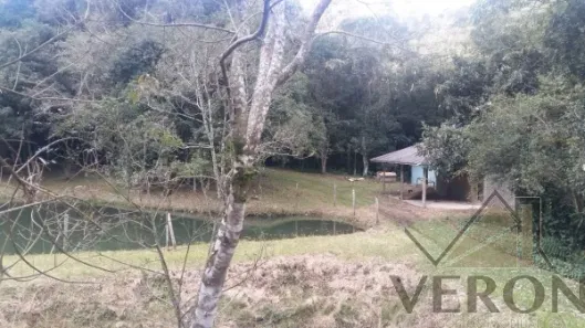 Imóvel Comercial à venda, 35000m² no Forqueta, Caxias do Sul