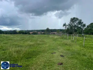 Fazenda/Sítio com 3 Quartos à venda, 5m² no Vila Camargo, Itaberaí