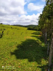 Fazenda/Sítio à venda, 605000m² no Jardim Esperanca, Pilar do Sul