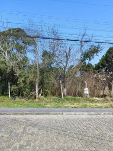 Lote/Terreno à venda, 600m² no Guatupê, São José dos Pinhais