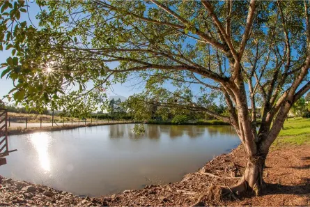Fazenda/Sítio com 5 Quartos à venda, 119m² no , Pareci Novo