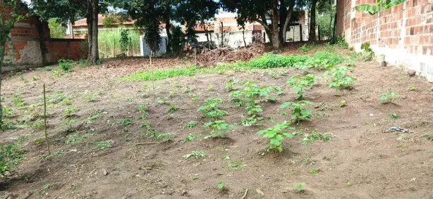 Lote/Terreno à venda, 468m² no Porto da Roça I, Saquarema
