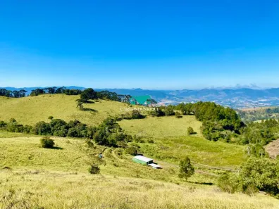 Lote/Terreno à venda, 20500m² no , Toledo